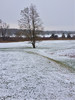 photo thumbnail #10