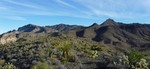 photo thumbnail #1