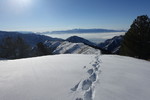 photo thumbnail #8