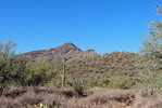 photo thumbnail #1