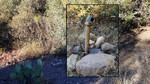 photo thumbnail #2