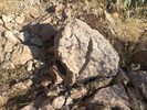 photo thumbnail #14