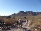 photo thumbnail #1