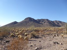 photo thumbnail #2