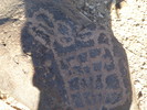 photo thumbnail #11
