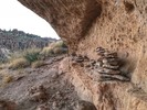 photo thumbnail #11