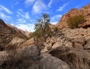 photo thumbnail #7