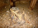 photo thumbnail #12