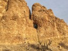 photo thumbnail #4