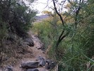 photo thumbnail #2