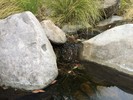 photo thumbnail #10