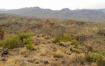 photo thumbnail #12