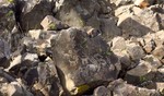 photo thumbnail #6