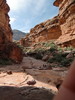 photo thumbnail #14