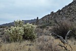 photo thumbnail #12