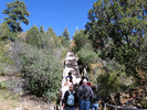 photo thumbnail #5