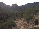 photo thumbnail #5