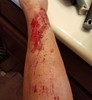 photo thumbnail #3