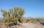 photo thumbnail #4