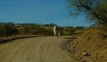 photo thumbnail #14