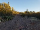 photo thumbnail #5
