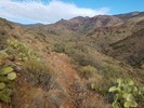 photo thumbnail #11