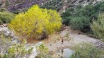 photo thumbnail #11