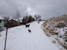 photo thumbnail #1