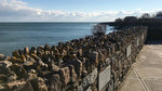 photo thumbnail #4
