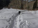 photo thumbnail #3