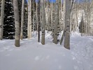 photo thumbnail #9