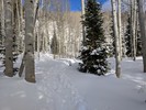 photo thumbnail #10