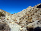 photo thumbnail #11