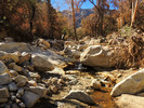 photo thumbnail #7