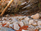 photo thumbnail #8