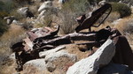 photo thumbnail #6