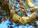 photo thumbnail #9