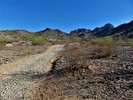 photo thumbnail #1