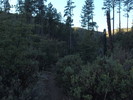 photo thumbnail #2