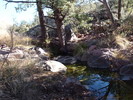 photo thumbnail #7