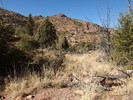 photo thumbnail #10