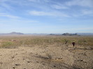photo thumbnail #1