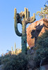 photo thumbnail #10