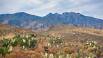 photo thumbnail #7