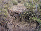photo thumbnail #10