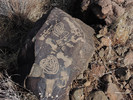 photo thumbnail #12