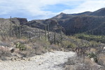 photo thumbnail #1