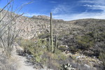 photo thumbnail #2
