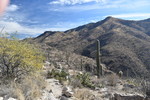 photo thumbnail #3