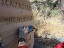 photo thumbnail #5